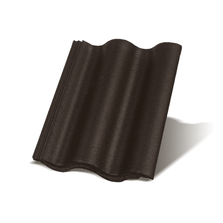 Synus Carbon osnovni