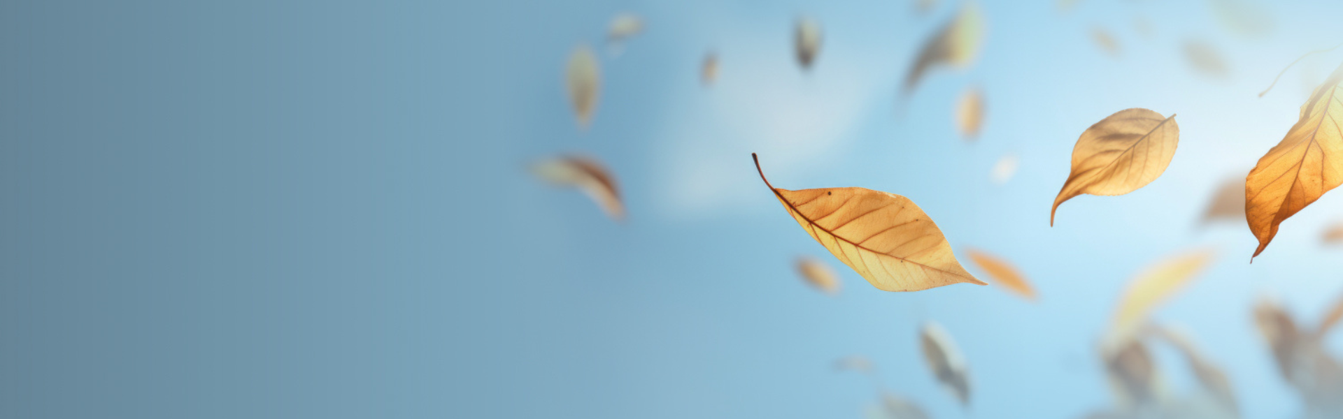sale background