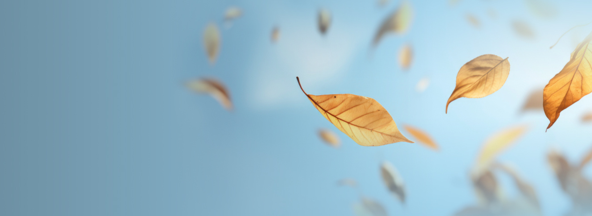 sale background
