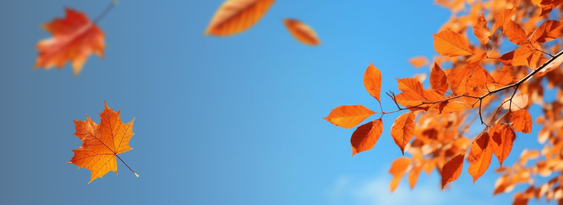 sale background