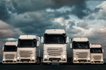 16000 tovornjakov Približno 16000 tovornjakov je bilo potrebno za dostavo Terran strešnikov do kupcev v letu 2019.